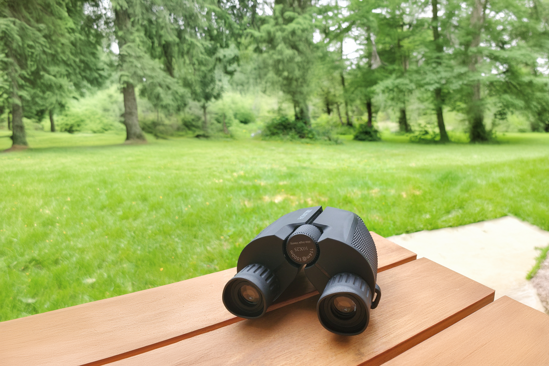 A Deeper Dive into My Backyard