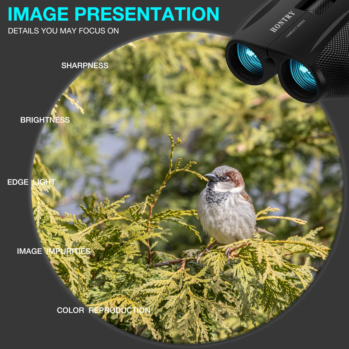 Hontry Binoculars for Adults and Kids, 10x25 Compact Binoculars for Bird Watching, Theater and Concerts, Cruise Ship and Sport Games